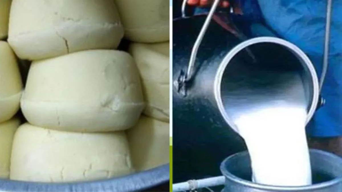 26_05_2026-paneer_annad_nagar.jpg