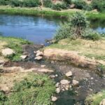 03_06_2026-dhar_me_pradushit_ho_rahi_narmada_nadi.jpg