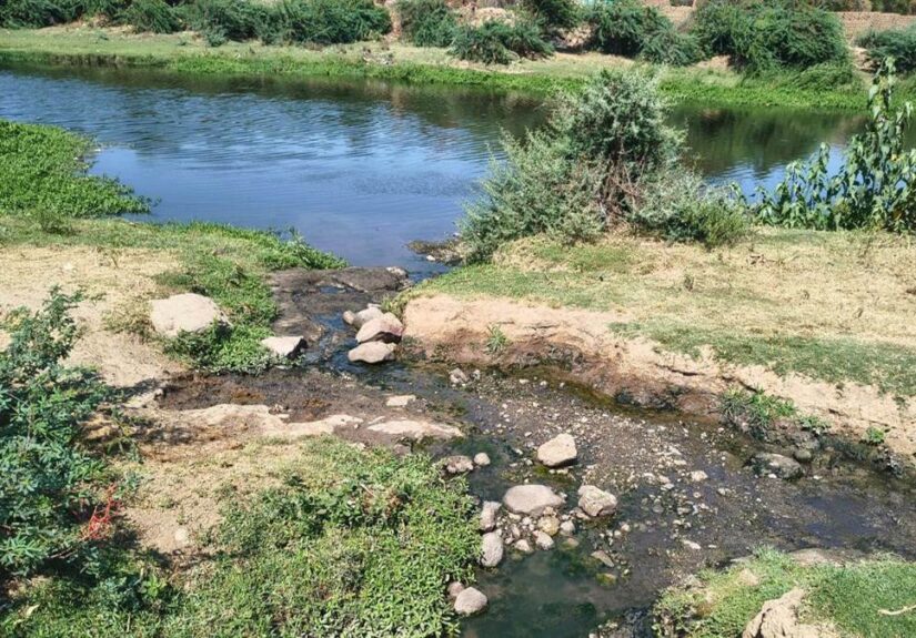 03_06_2026-dhar_me_pradushit_ho_rahi_narmada_nadi.jpg
