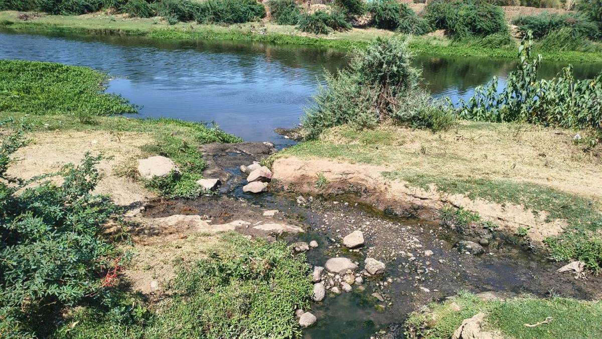 03_06_2026-dhar_me_pradushit_ho_rahi_narmada_nadi.jpg