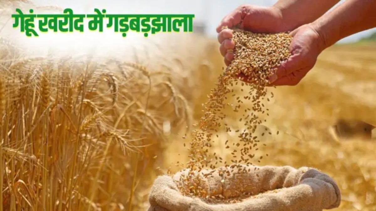 06_06_2026-wheat_procurement_scam_6june.jpg