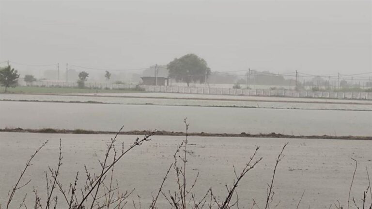 04_07_2026-khet.jpg