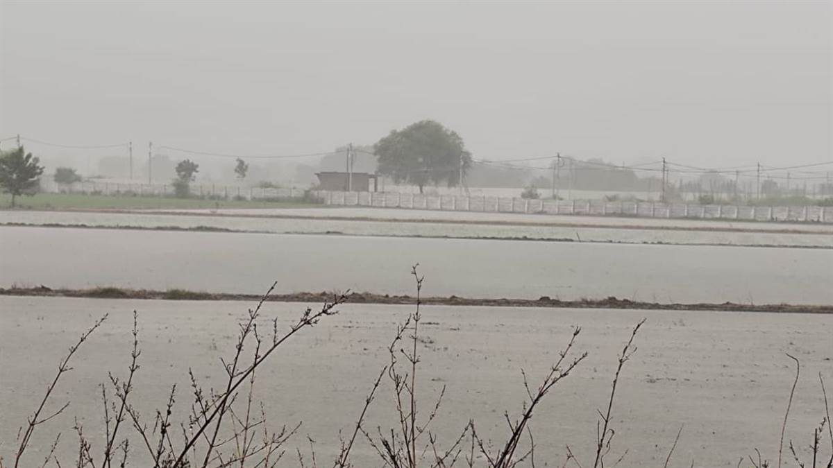 04_07_2026-khet.jpg