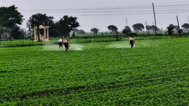 10_07_2026-kisan_kheto_me_jut_gaye_hain.jpg