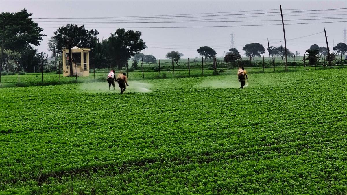 10_07_2026-kisan_kheto_me_jut_gaye_hain.jpg