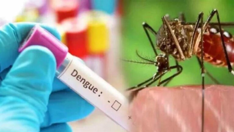 12_07_2026-dengue_image.jpg
