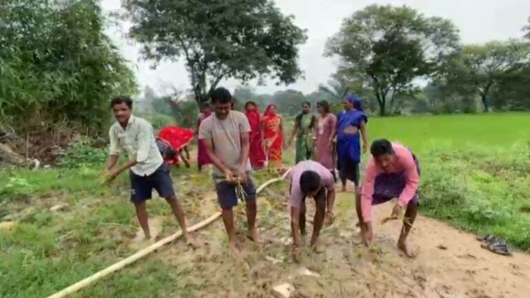 19_07_2026-villagers_plant_paddy_on_muddy_road_.jpg