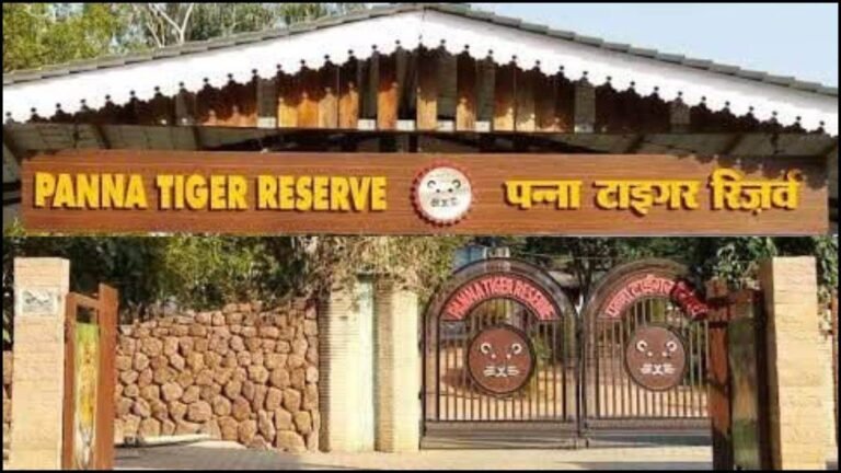 30_07_2026-panna_tiger_reserve_30july.jpg