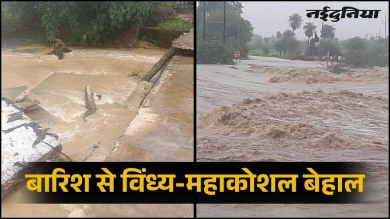 16_08_2026-mahakoshal_vindhya_rain_alert_16aug.jpg