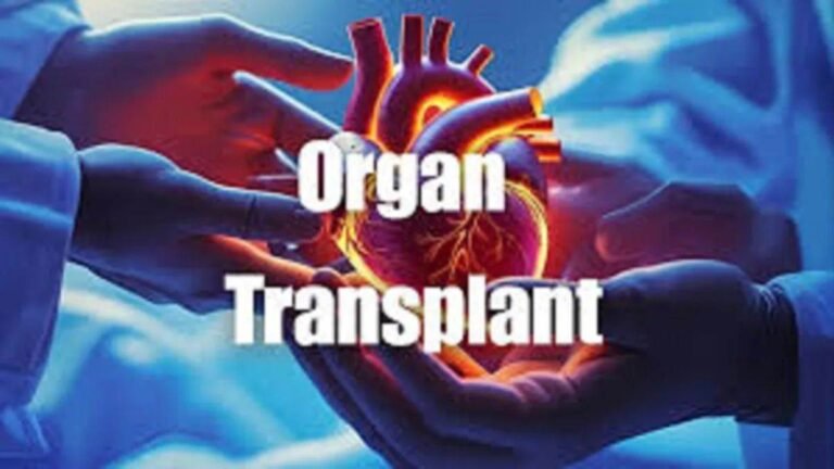 18_08_2026-organs_transplant.jpg