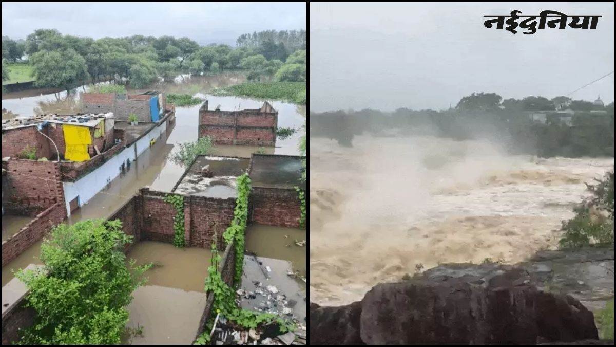 22_08_2026-rewa_flood_news_21_aug.jpg