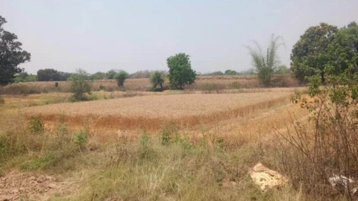 23_08_2026-burhanpur_land_.jpg