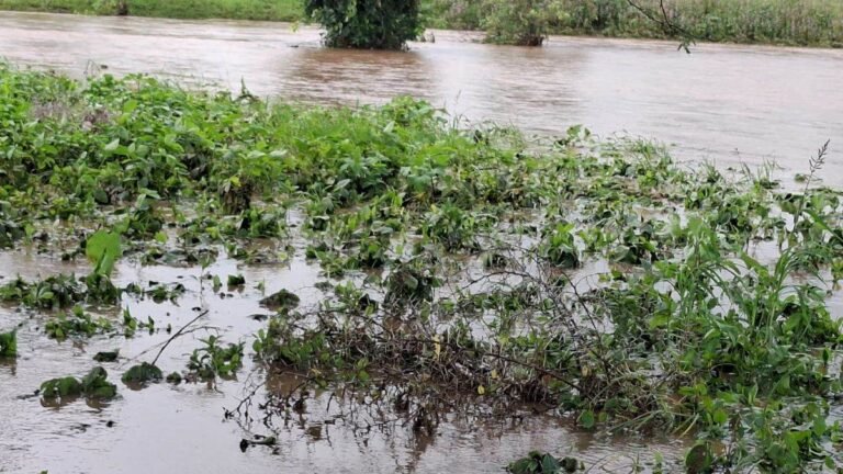 23_08_2026-man_swept_away_in_kharmar_river.jpg