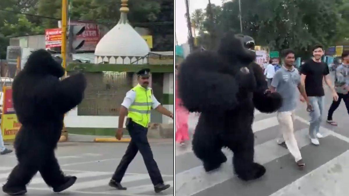 23_08_2026-mp_police_indore_traffic_rules_gorilla.jpg