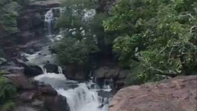 03_09_2026-bagdari_waterfall3.jpg