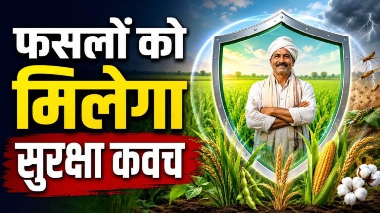 03_09_2026-weather-based_crop_insurance.jpg