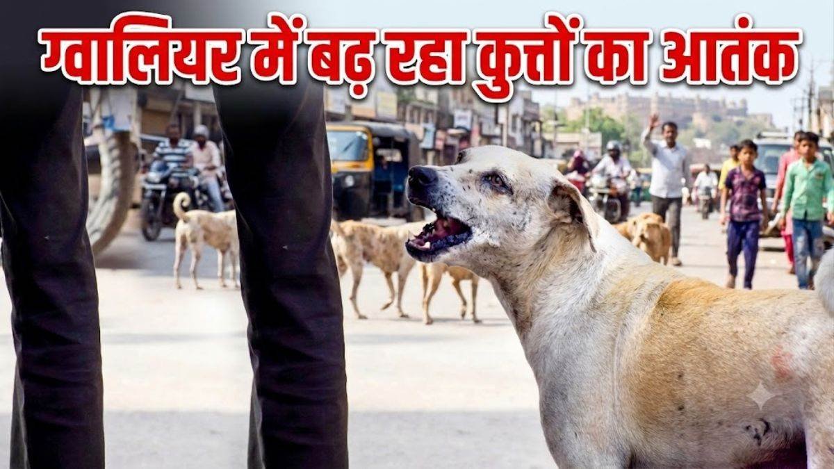08_09_2026-gwalior_dog_bite_202698_83539.jpg